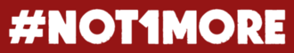 N1m logo