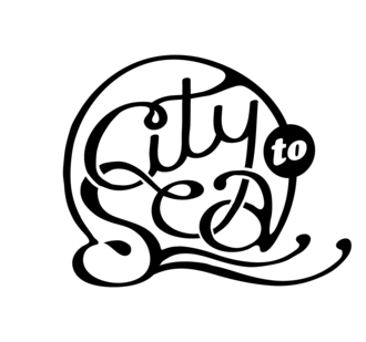 C2s black 02